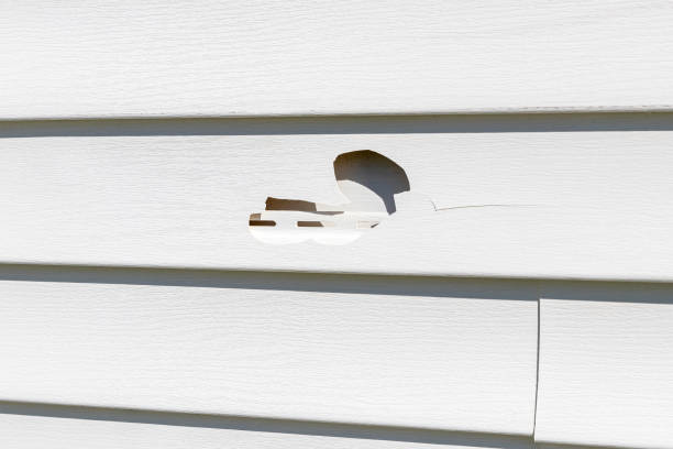 Best Same-Day Junk Removal Services  in Muhlenberg Rk, PA